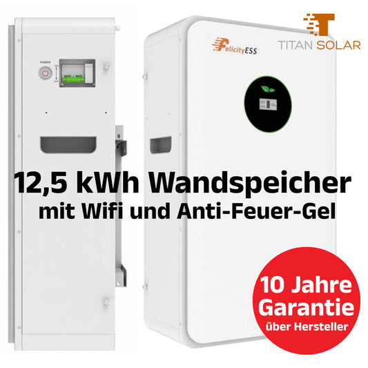 Art. 1579 - 12,5kWh Speicher Felicity Akku Wandmontage 51.2V 250Ah Wifi Anti-Fire-Gel Neu LiFePO4 Lithium 10 Jahre Garantie