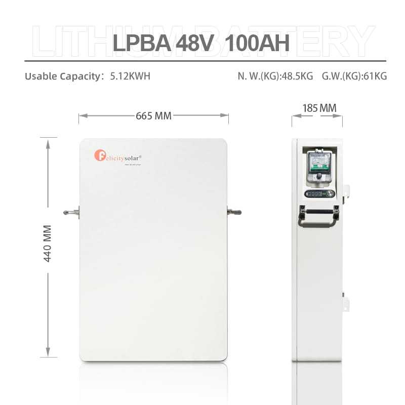 5kWh storage battery wall mounting 51.2V 100Ah New LiFePO4 Lithium 10 year guarantee Felicity